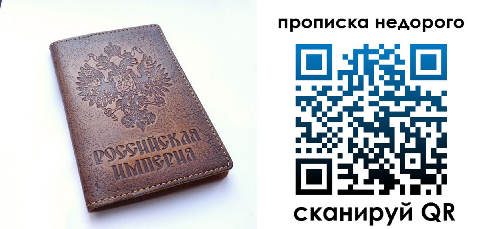 прописка для школы в Сертолово